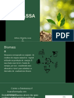 Biomassa: Arthur, Eduardo, Lucas S. 204
