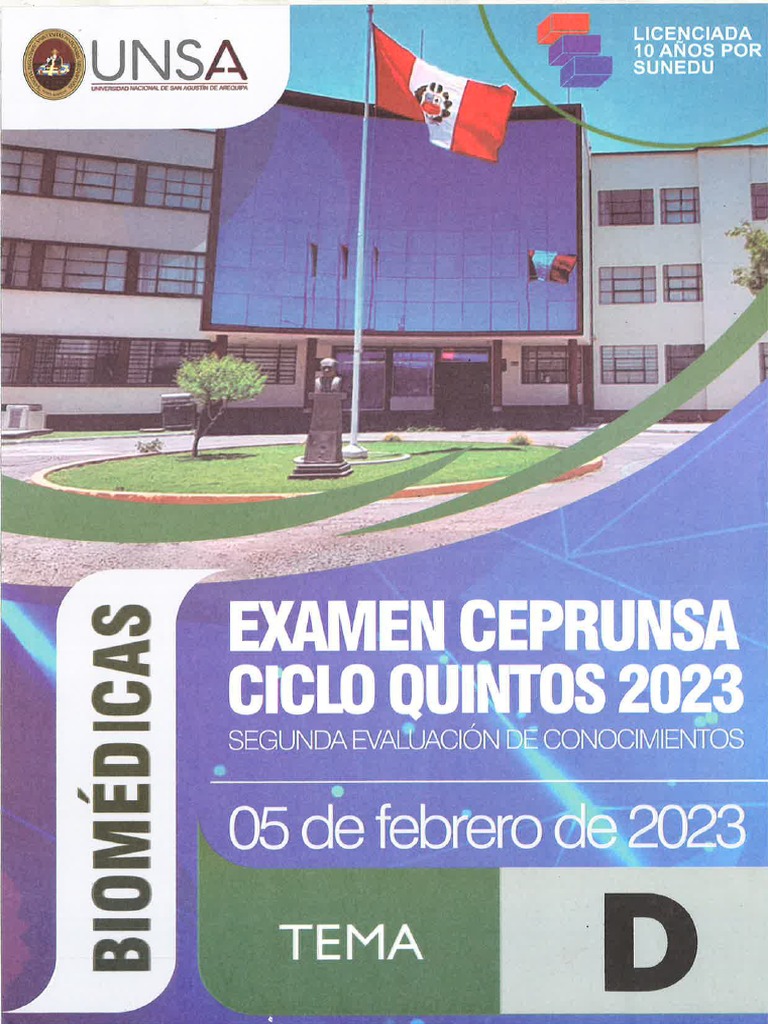 Unsa Ciclo Quintos PDF
