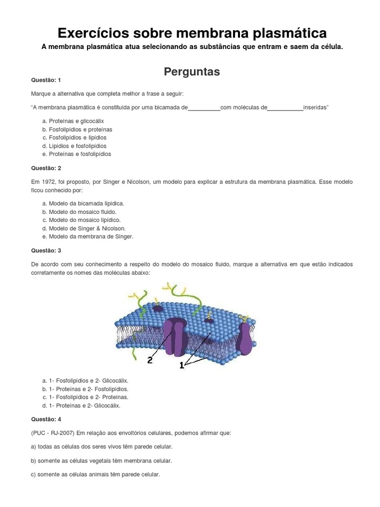 Questões sobre a estrutura e composição da membrana plasmática | PDF