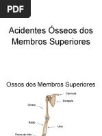 Ossos Dos Membros Superiores Pdf Mão Osso