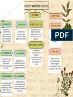 Procesos Mentales Basicos: Motores