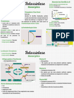 Bioenergética: Fotossíntese