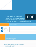 La Justícia Juvenil: Context Actual, Organització, Estructura I Competències