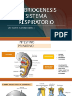 Embriogenesis Sistema Respiratorio: Mr3 Valdivia Palomino Andrea E
