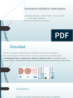 Fenomenos Biofisicos Moleculares