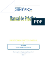 Formato para Manual de Prácticas Presencial