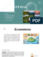 Ecosistemas VI-C