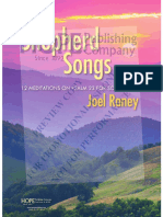 Shepherd Songs: Joel Raney
