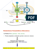 Metabolismos fotossintéticos alternativos C4 e CAM