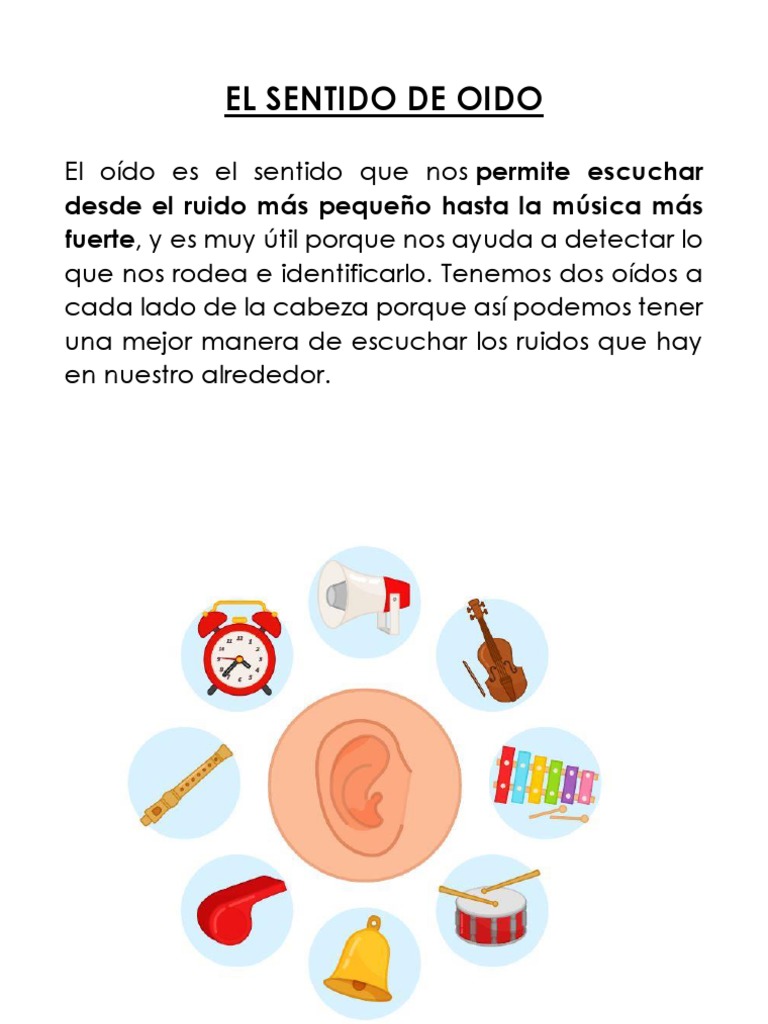 Funciones del sentido del oído | PDF