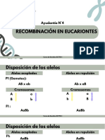 Ayudant A N 4 Ligamiento en Eucariontes