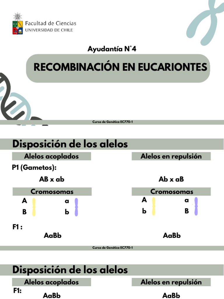 ayudant-a-n-4-ligamiento-en-eucariontes-pdf-cigosidad-enlace-gen-tico