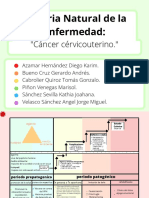 Historia Natural de La Enfermedad:: "Cáncer Cérvicouterino."