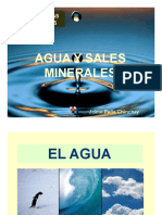 Agua Y Sales Minerales: Biomoléculas Inorgánicas