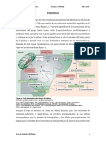 Porfirias Tema