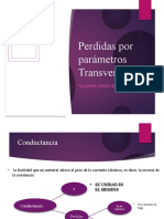 Perdidas Por Parámetros Transversales: Llanos, Francisco Gabriel