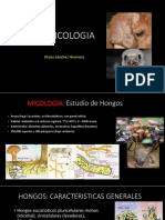 Estudio de hongos y micología en