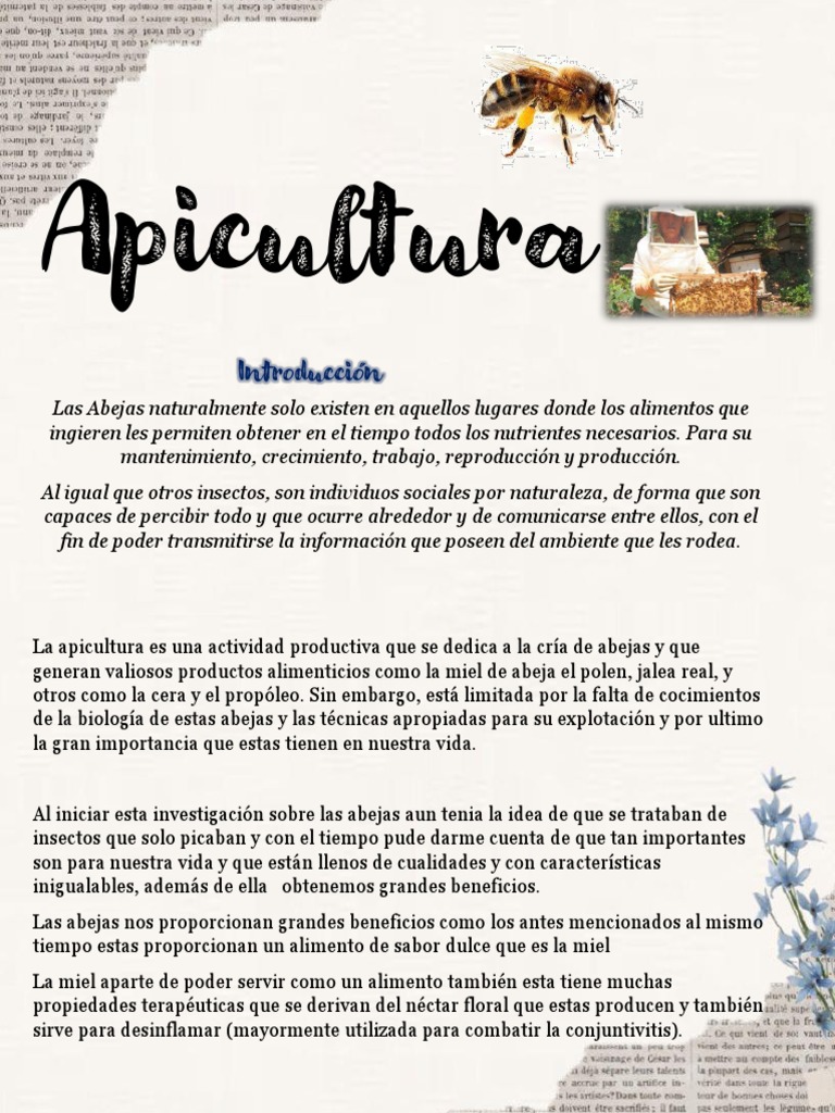 Importancia y Beneficios de la Apicultura | PDF | Apicultura | Abejas