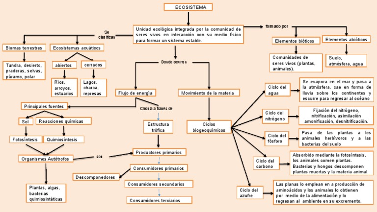 Mapa Conceptual Del Ecosistema 4 | PDF | Biologia de sistemas ...