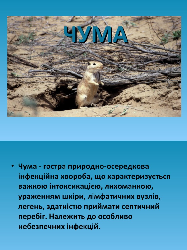 Чума | PDF