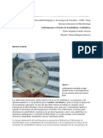 Antibiogramas o Pruebas de Sensibilidad A Antibióticos: Figura 1