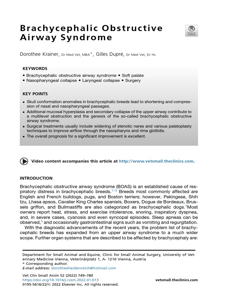 Control 5 Brachycephalic Obstructive Airway Syndrome | PDF | Science ...