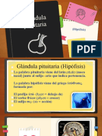 Glándula Pituitaria