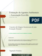 Formação de Agentes Ambientais - Associação Ecoville: Professor Omar S. Lakis