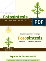 Diapositivas de Fotosíntesis Fase Luminosa