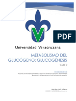Metabolismo Del Glucógeno: Glucogénesis
