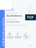 Chipana Arroyo, Stheysy - Certificado de Estudios - Business Analytics en Big Data - NETZUN & UPAL, 2022
