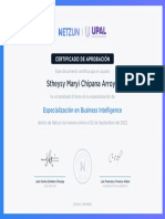 Chipana Arroyo, Stheysy - Certificado de Estudios - Especialización en Business Intelligence - NETZUN & UPAL, 2022