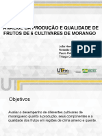 Análise Da Produção E Qualidade de Frutos de 6 Cultivares de Morango