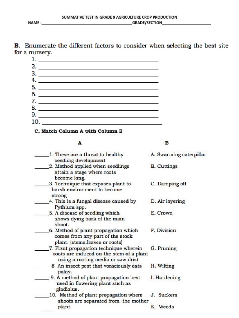 Grade 9 Agriculture Crop Production Test | PDF | Agriculture