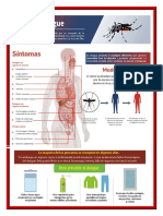 INFOGRAFIA DENGUE