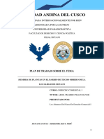 Oficiallllllllllllllll Plan de Trabajo Derecho Comercial