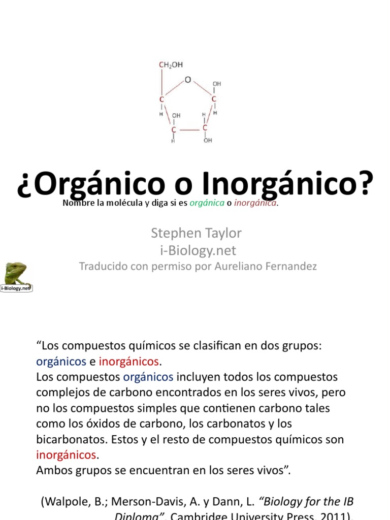 Tutorial - Orgánico o Inorgánico | PDF | Cocina, comidas y vino | Salud ...