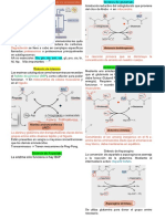 Apuntes BIOQUÍMICA