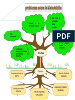 Arbol de Problemas Malnutricion