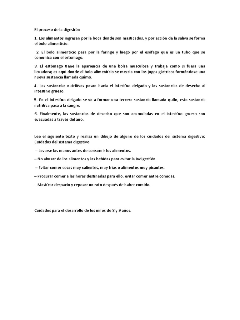 El Proceso De La Digestión Pdf