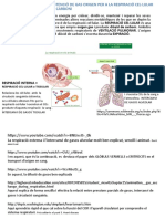 Respiració Externa : Respiració Pulmonar O Alveolar