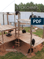 A Haven For Chimps