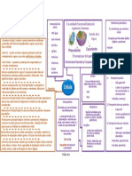 PDF Mapa Mental Celula