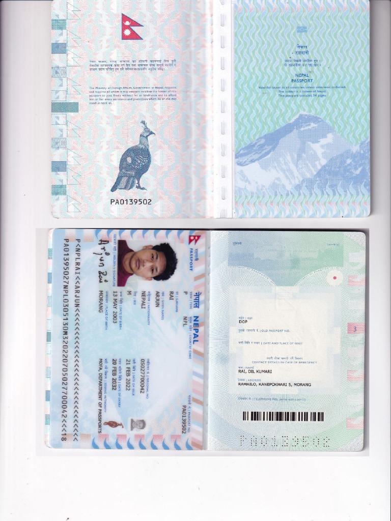 All Pages Passport | PDF