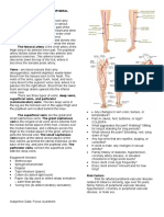 PERIPHERAL Assessment SemiFinals