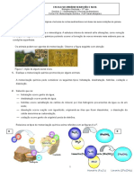 BioGeo 11 - Ficha 25 - Meteorização Química