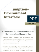 The Consumption Environment Interface