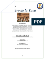 Cultivo de Yuca - AgricolaI