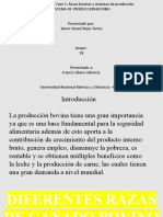 Sistemas de producción bovina y razas