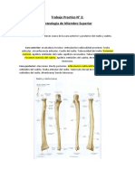 trabajo practico 2  resuelto anatomia